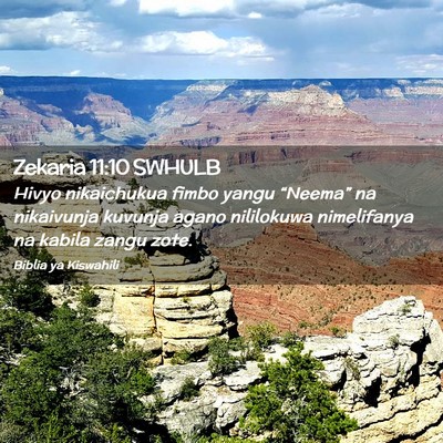 Picture 02 - Zekaria 11:10 SWHULB - Hivyo nikaichukua fimbo yangu “Neema” na - Bible Verse Picture
