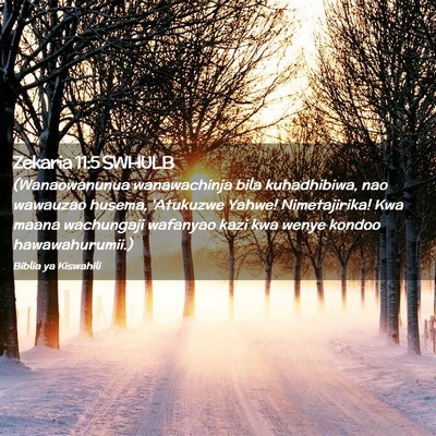 Picture 02 - Zekaria 11:5 SWHULB - (Wanaowanunua wanawachinja bila kuhadhibiwa, nao - Bible Verse Picture