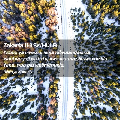 Picture 02 - Zekaria 11:8 SWHULB - Ndani ya mwezi mmoja niliwaangamiza wachungaji - Bible Verse Picture