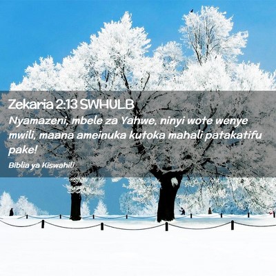Picture 02 - Zekaria 2:13 SWHULB - Nyamazeni, mbele za Yahwe, ninyi wote wenye - Bible Verse Picture