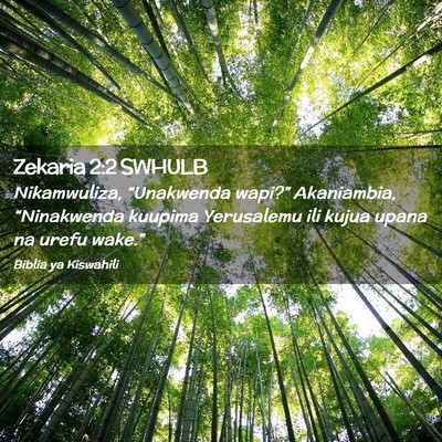 Picture 02 - Zekaria 2:2 SWHULB - Nikamwuliza, “Unakwenda wapi?” Akaniambia, - Bible Verse Picture