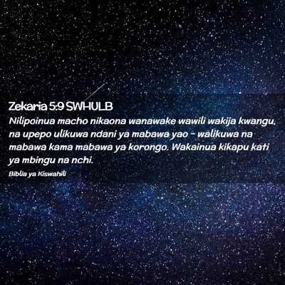 Picture 02 - Zekaria 5:9 SWHULB - Nilipoinua macho nikaona wanawake wawili wakija - Bible Verse Picture