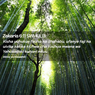Picture 02 - Zekaria 6:11 SWHULB - Kisha uchukue fedha na dhahabu, ufanye taji na - Bible Verse Picture