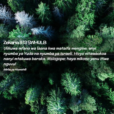 Picture 02 - Zekaria 8:13 SWHULB - Ulikuwa mfano wa laana kwa mataifa mengine, enyi - Bible Verse Picture