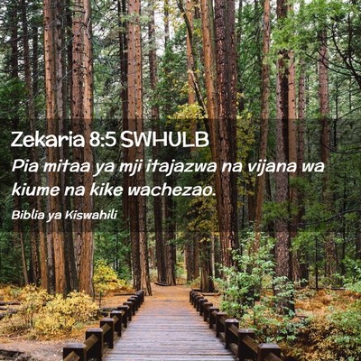 Picture 02 - Zekaria 8:5 SWHULB - Pia mitaa ya mji itajazwa na vijana wa kiume na - Bible Verse Picture
