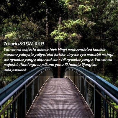 Picture 02 - Zekaria 8:9 SWHULB - Yahwe wa majeshi asema hivi: Ninyi mnaoendelea - Bible Verse Picture