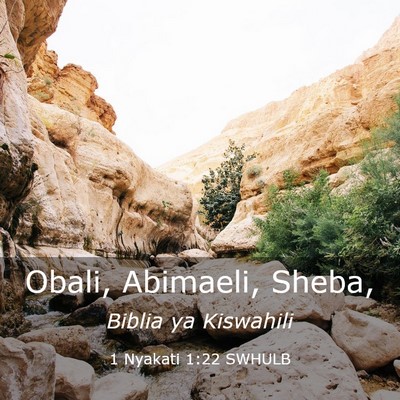 Picture 03 - 1 Nyakati 1:22 SWHULB - Obali, Abimaeli, - Bible Verse Picture