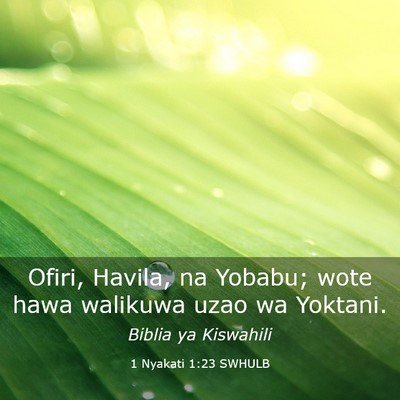 Picture 03 - 1 Nyakati 1:23 SWHULB - Ofiri, Havila, na Yobabu; wote hawa walikuwa uzao - Bible Verse Picture