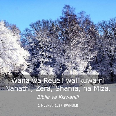 Picture 03 - 1 Nyakati 1:37 SWHULB - Wana wa Reueli walikuwa ni Nahathi, Zera, Shama, - Bible Verse Picture