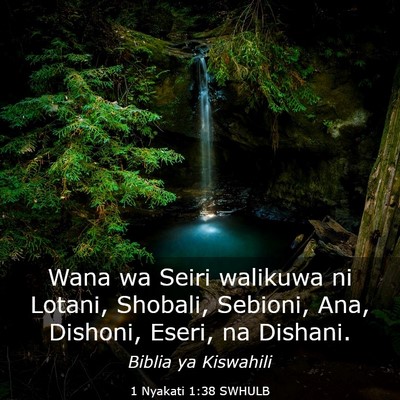 Picture 03 - 1 Nyakati 1:38 SWHULB - Wana wa Seiri walikuwa ni Lotani, Shobali, - Bible Verse Picture