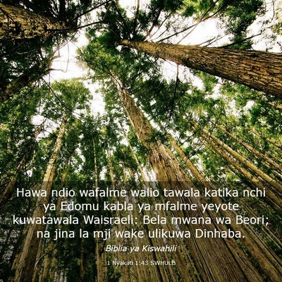 Picture 03 - 1 Nyakati 1:43 SWHULB - Hawa ndio wafalme walio tawala katika nchi ya - Bible Verse Picture