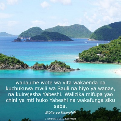Picture 03 - 1 Nyakati 10:12 SWHULB - wanaume wote wa vita wakaenda na kuchukuwa mwili - Bible Verse Picture