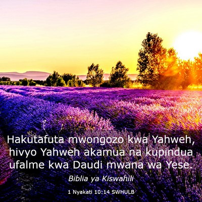Picture 03 - 1 Nyakati 10:14 SWHULB - Hakutafuta mwongozo kwa Yahweh, hivyo Yahweh - Bible Verse Picture