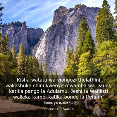 Picture 03 - 1 Nyakati 11:15 SWHULB - Kisha watatu wa viongozi thelathini wakashuka - Bible Verse Picture