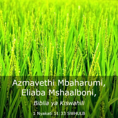 Picture 03 - 1 Nyakati 11:33 SWHULB - Azmavethi Mbaharumi, Eliaba - Bible Verse Picture
