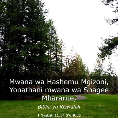 Picture 03 - 1 Nyakati 11:34 SWHULB - Mwana wa Hashemu Mgizoni, Yonathani mwana wa - Bible Verse Picture
