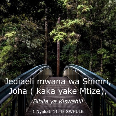 Picture 03 - 1 Nyakati 11:45 SWHULB - Jediaeli mwana wa Shimri, Joha ( kaka yake - Bible Verse Picture