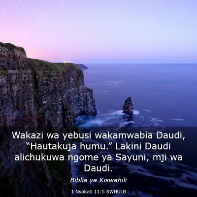 Picture 03 - 1 Nyakati 11:5 SWHULB - Wakazi wa yebusi wakamwabia Daudi, “Hautakuja - Bible Verse Picture