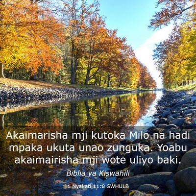 Picture 03 - 1 Nyakati 11:8 SWHULB - Akaimarisha mji kutoka Milo na hadi mpaka ukuta - Bible Verse Picture