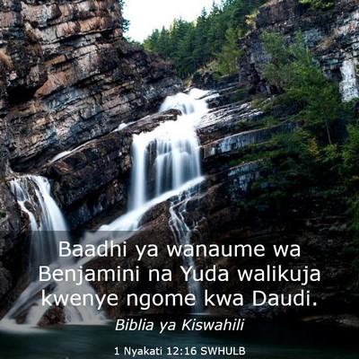 Picture 03 - 1 Nyakati 12:16 SWHULB - Baadhi ya wanaume wa Benjamini na Yuda walikuja - Bible Verse Picture