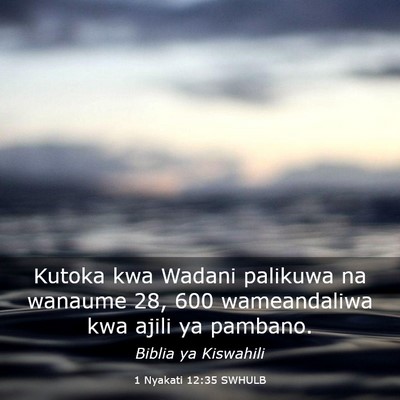 Picture 03 - 1 Nyakati 12:35 SWHULB - Kutoka kwa Wadani palikuwa na wanaume 28, 600 - Bible Verse Picture