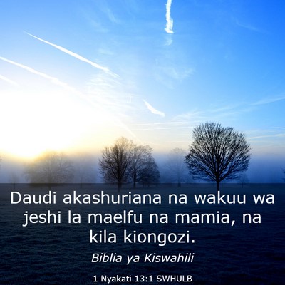 Picture 03 - 1 Nyakati 13:1 SWHULB - Daudi akashuriana na wakuu wa jeshi la maelfu na - Bible Verse Picture