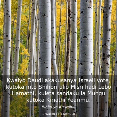 Picture 03 - 1 Nyakati 13:5 SWHULB - Kwaiyo Daudi akakusanya Israeli yote, kutoka mto - Bible Verse Picture