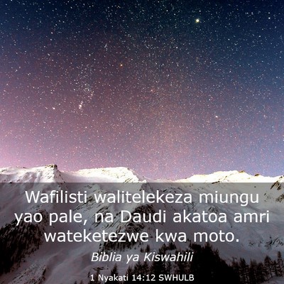Picture 03 - 1 Nyakati 14:12 SWHULB - Wafilisti walitelekeza miungu yao pale, na Daudi - Bible Verse Picture