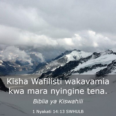 Picture 03 - 1 Nyakati 14:13 SWHULB - Kisha Wafilisti wakavamia kwa mara nyingine - Bible Verse Picture