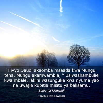 Picture 03 - 1 Nyakati 14:14 SWHULB - Hivyo Daudi akaomba msaada kwa Mungu tena. Mungu - Bible Verse Picture