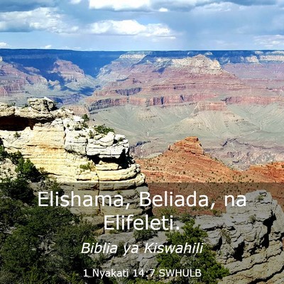 Picture 03 - 1 Nyakati 14:7 SWHULB - Elishama, Beliada, na - Bible Verse Picture