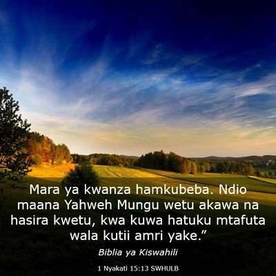 Picture 03 - 1 Nyakati 15:13 SWHULB - Mara ya kwanza hamkubeba. Ndio maana Yahweh Mungu - Bible Verse Picture