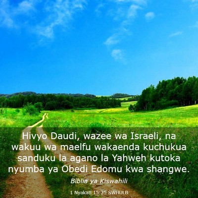 Picture 03 - 1 Nyakati 15:25 SWHULB - Hivyo Daudi, wazee wa Israeli, na wakuu wa maelfu - Bible Verse Picture