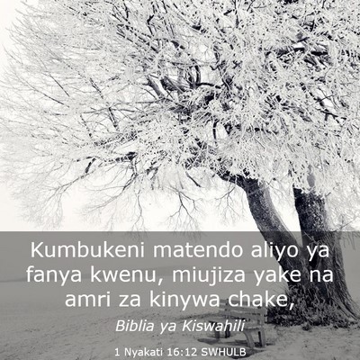 Picture 03 - 1 Nyakati 16:12 SWHULB - Kumbukeni matendo aliyo ya fanya kwenu, miujiza - Bible Verse Picture
