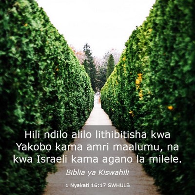 Picture 03 - 1 Nyakati 16:17 SWHULB - Hili ndilo alilo lithibitisha kwa Yakobo kama - Bible Verse Picture
