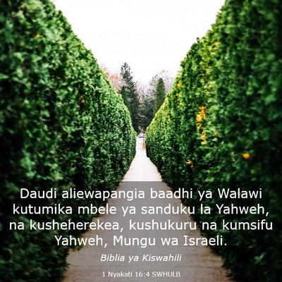 Picture 03 - 1 Nyakati 16:4 SWHULB - Daudi aliewapangia baadhi ya Walawi kutumika - Bible Verse Picture