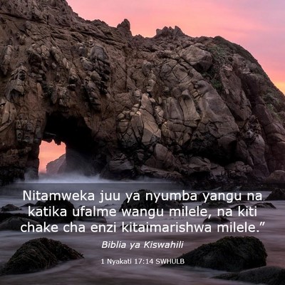 Picture 03 - 1 Nyakati 17:14 SWHULB - Nitamweka juu ya nyumba yangu na katika ufalme - Bible Verse Picture