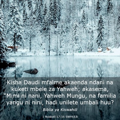 Picture 03 - 1 Nyakati 17:16 SWHULB - Kisha Daudi mfalme akaenda ndani na kuketi mbele - Bible Verse Picture