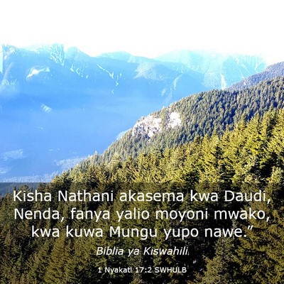 Picture 03 - 1 Nyakati 17:2 SWHULB - Kisha Nathani akasema kwa Daudi, Nenda, fanya - Bible Verse Picture