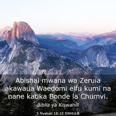Picture 03 - 1 Nyakati 18:12 SWHULB - Abishai mwana wa Zeruia akawaua Waedomi elfu kumi - Bible Verse Picture