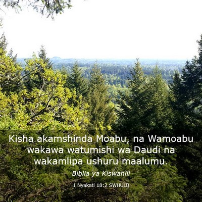 Picture 03 - 1 Nyakati 18:2 SWHULB - Kisha akamshinda Moabu, na Wamoabu wakawa - Bible Verse Picture