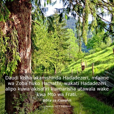 Picture 03 - 1 Nyakati 18:3 SWHULB - Daudi kisha akamshinda Hadadezeri, mfalme wa Zoba - Bible Verse Picture