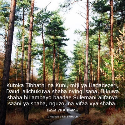 Picture 03 - 1 Nyakati 18:8 SWHULB - Kutoka Tibhathi na Kuni, miji ya Hadadezeri, - Bible Verse Picture