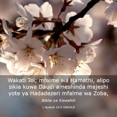 Picture 03 - 1 Nyakati 18:9 SWHULB - Wakati Toi, mfalme wa Hamathi, alipo sikia kuwa - Bible Verse Picture
