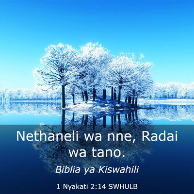 Picture 03 - 1 Nyakati 2:14 SWHULB - Nethaneli wa nne, Radai wa - Bible Verse Picture