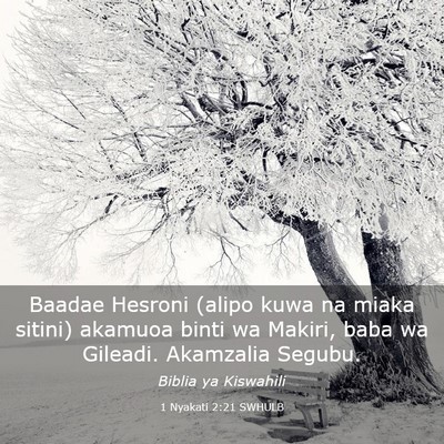 Picture 03 - 1 Nyakati 2:21 SWHULB - Baadae Hesroni (alipo kuwa na miaka sitini) - Bible Verse Picture