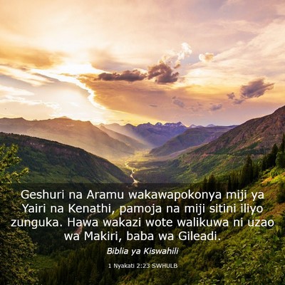 Picture 03 - 1 Nyakati 2:23 SWHULB - Geshuri na Aramu wakawapokonya miji ya Yairi na - Bible Verse Picture