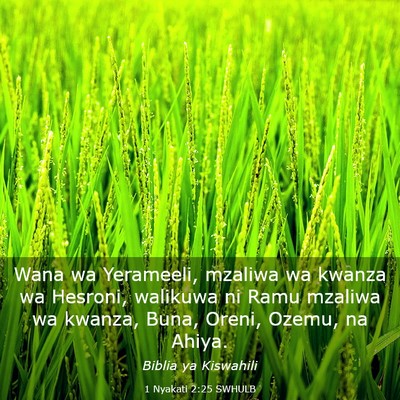 Picture 03 - 1 Nyakati 2:25 SWHULB - Wana wa Yerameeli, mzaliwa wa kwanza wa Hesroni, - Bible Verse Picture