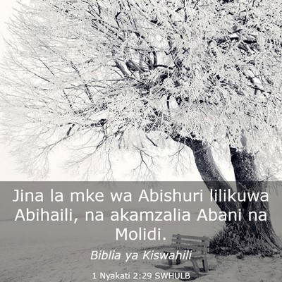 Picture 03 - 1 Nyakati 2:29 SWHULB - Jina la mke wa Abishuri lilikuwa Abihaili, na - Bible Verse Picture