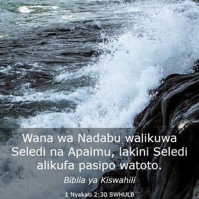 Picture 03 - 1 Nyakati 2:30 SWHULB - Wana wa Nadabu walikuwa Seledi na Apaimu, lakini - Bible Verse Picture
